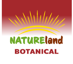 Logo Botanical